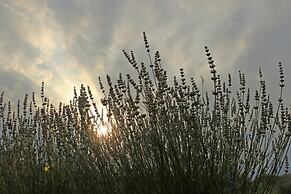 apartmani lavanda