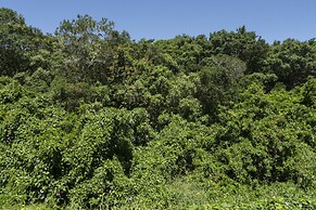 Pousada Casa da Lagoa
