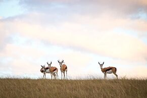 Oudebosch Guest Farm