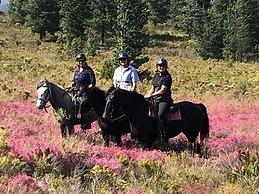 Oudebosch Guest Farm