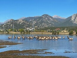 Blue Jay  -- Ev #3274 2 Bedroom Cabin by RedAwning