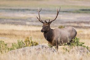 Blue Jay  -- Ev #3274 2 Bedroom Cabin by RedAwning