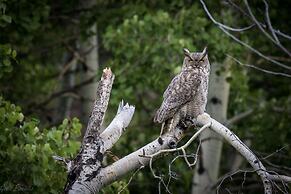 Blue Jay  -- Ev #3274 2 Bedroom Cabin by RedAwning
