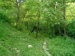 Agriturismo le Cammarose