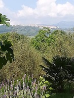 Agriturismo le Cammarose