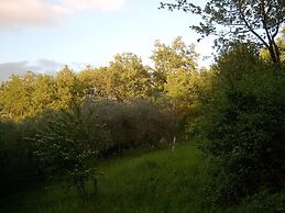 Agriturismo le Cammarose
