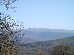 Agriturismo le Cammarose