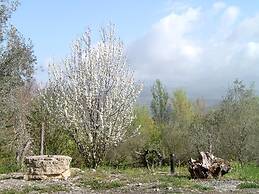 Agriturismo le Cammarose