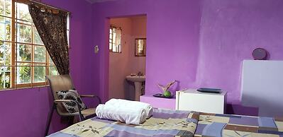 Jamaica Villa Sweetsap