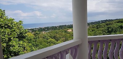 Jamaica Villa Sweetsap