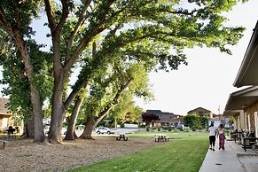 Zion's Camp and Cottages