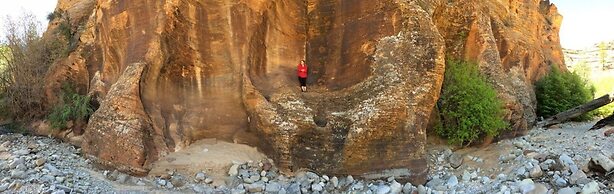 Zion's Camp and Cottages