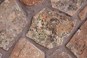 Zion's Camp and Cottages