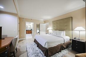 StripViewSuites at Signature