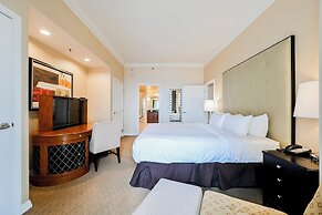 StripViewSuites at Signature