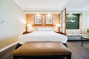 StripViewSuites at Signature