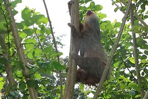Eden Organic Farm & Bungalows