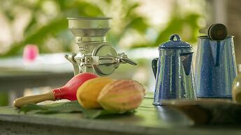 Eden Organic Farm & Bungalows