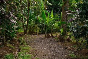 Eden Organic Farm & Bungalows