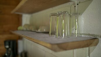 Eden Organic Farm & Bungalows