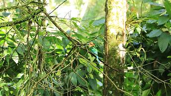 Eden Organic Farm & Bungalows