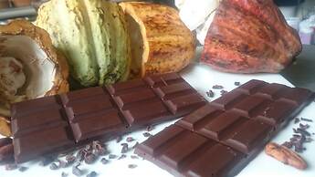 Eden Organic Farm & Bungalows