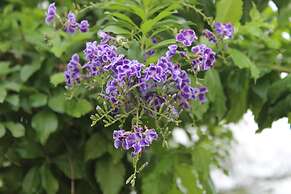 Super Cheap1 Homestay