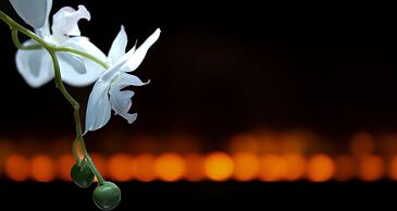 Amaré Beachside Luxury