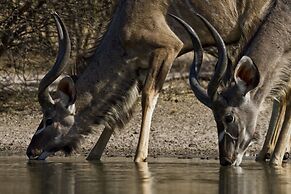 Grassland Safari Lodge