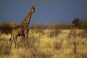 Grassland Safari Lodge