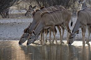 Grassland Safari Lodge