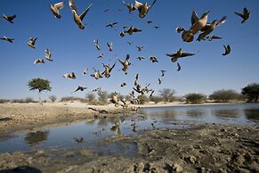 Grassland Safari Lodge