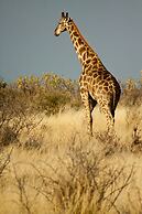 Grassland Safari Lodge