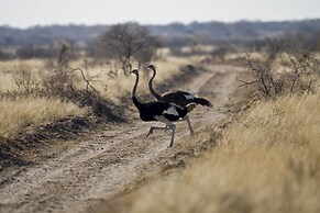 Grassland Safari Lodge