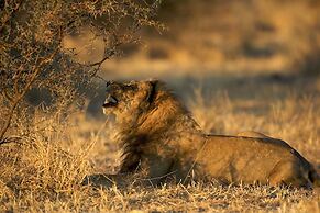 Grassland Safari Lodge