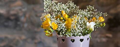 Agriresort Le Porcine