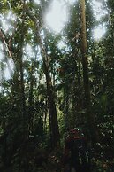 Sinharaja Forest Gate