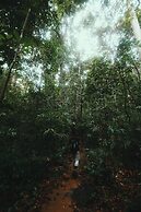 Sinharaja Forest Gate