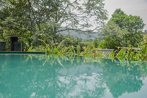 Sinharaja Forest Gate