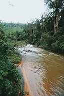 Sinharaja Forest Gate