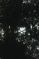 Sinharaja Forest Gate