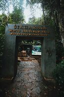 Sinharaja Forest Gate
