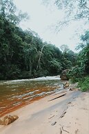 Sinharaja Forest Gate