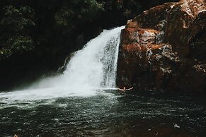 Sinharaja Forest Gate
