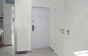 Fantastic Ernesto near Basilica