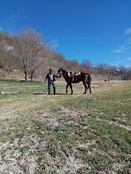 La Tenuta - Resort Agricolo