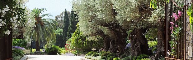 Domaine Les Mésanges