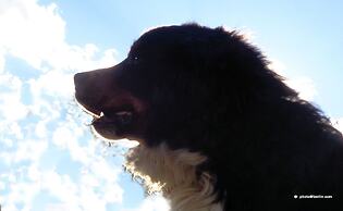 Edelweiss Inn Aparthotel