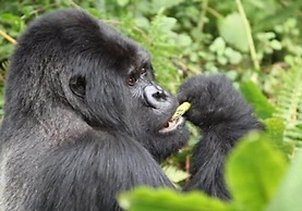 Otjimbondona Kalahari