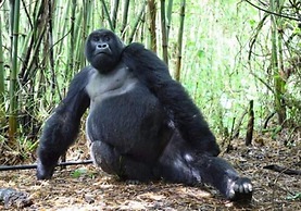 Otjimbondona Kalahari